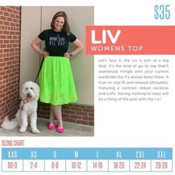 Lularoe Liv Tee T Shirt Short Sleeve Tribal Chevron Purple White Spring Medium - Picture 6 of 8